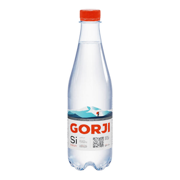 ВОДА ГОРДЖИ МИНЕРАЛЬНАЯ 0,5Л (12 ШТ.) ПЭТ