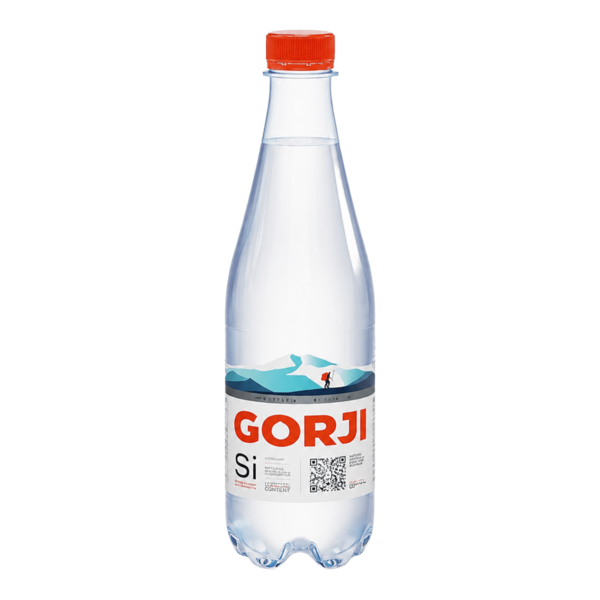 ВОДА ГОРДЖИ МИНЕРАЛЬНАЯ 0,5Л (12 ШТ.) ПЭТ
